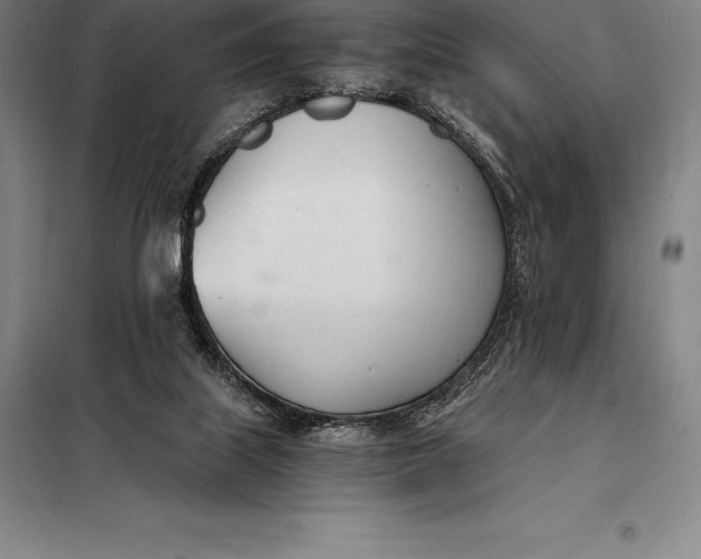 X0000098140067200805011354
