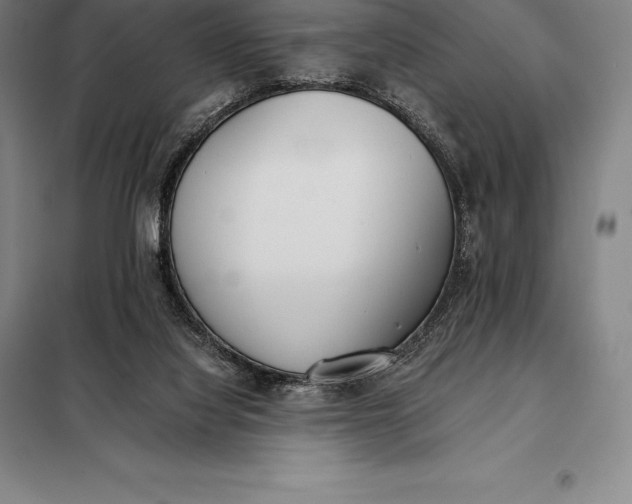 X0000098140068200805011354