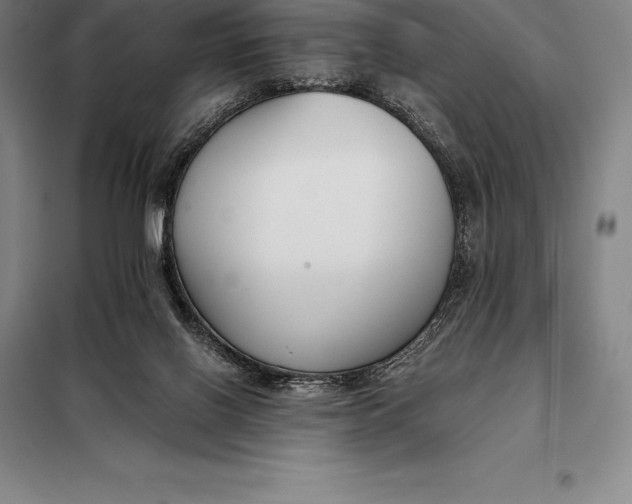 X0000098140070200805011354