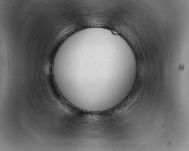 X0000098140071200805011354