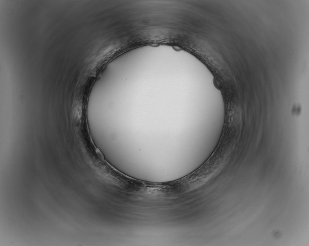 X0000098140072200805011354