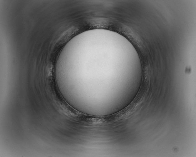 X0000098140073200805011354