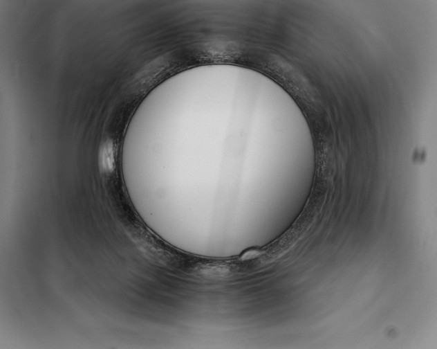 X0000098140075200805011354