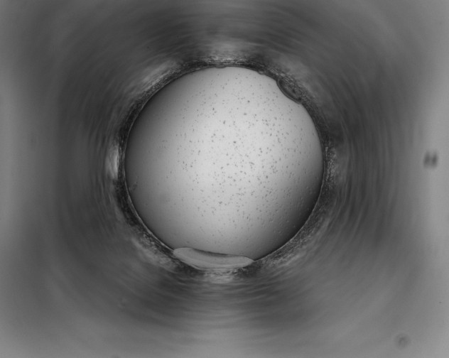 X0000098140076200805011354