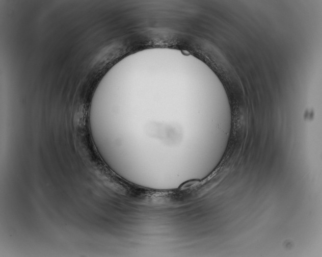 X0000098140078200805011354