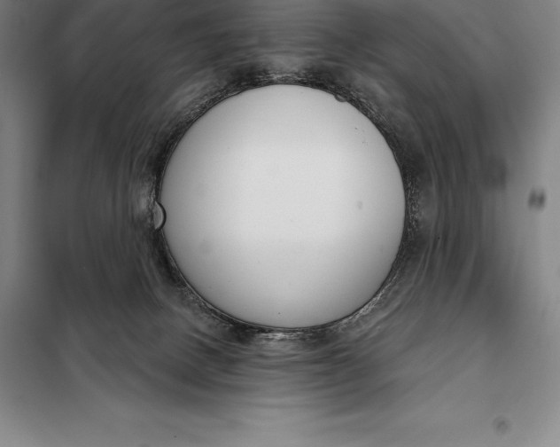 X0000098140082200805011354