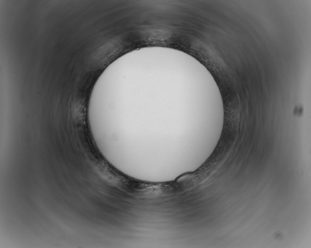 X0000098140083200805011354