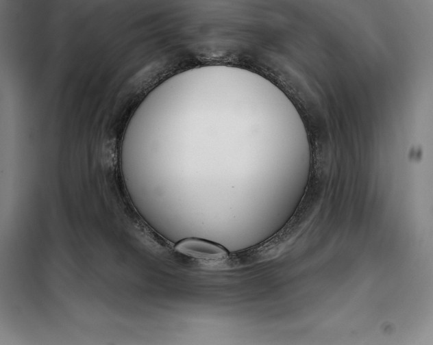 X0000098140085200805011354