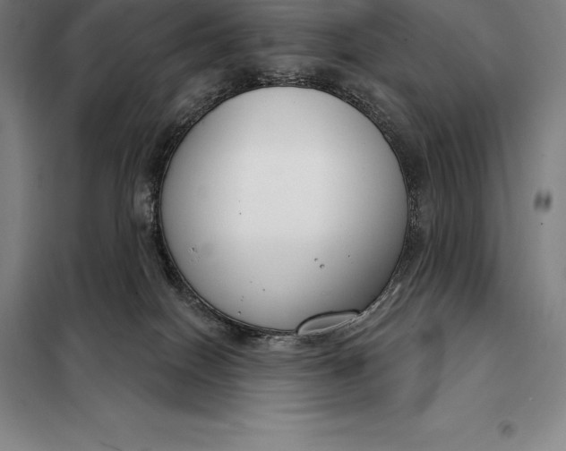X0000098140086200805011354