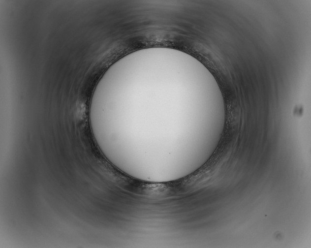X0000098140087200805011354