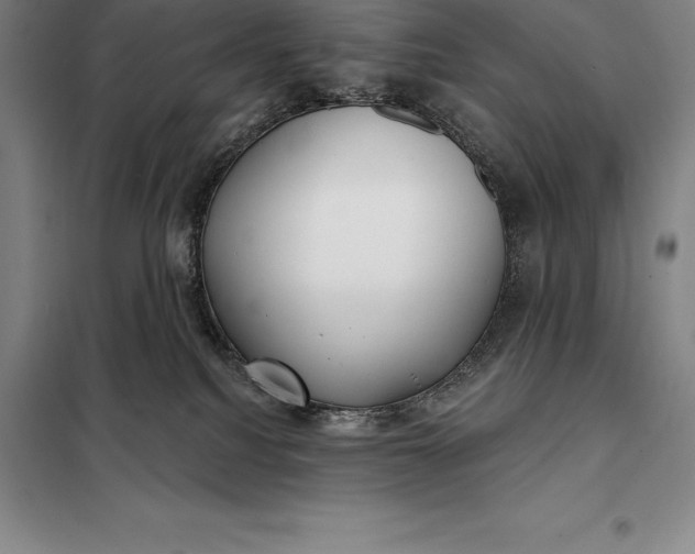 X0000098140088200805011354