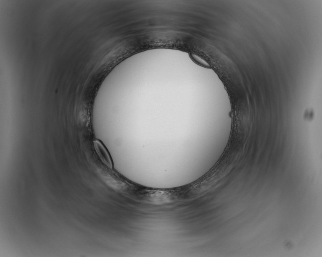 X0000098140091200805011354