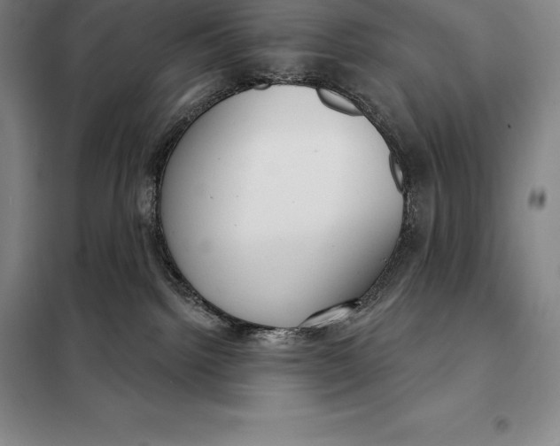 X0000098140092200805011354