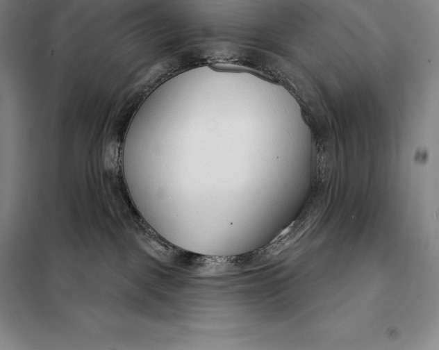 X0000098140093200805011354