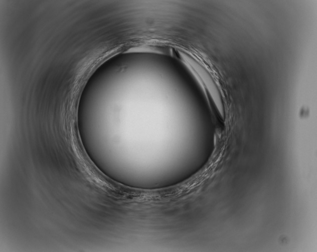 X0000098140097200805011353