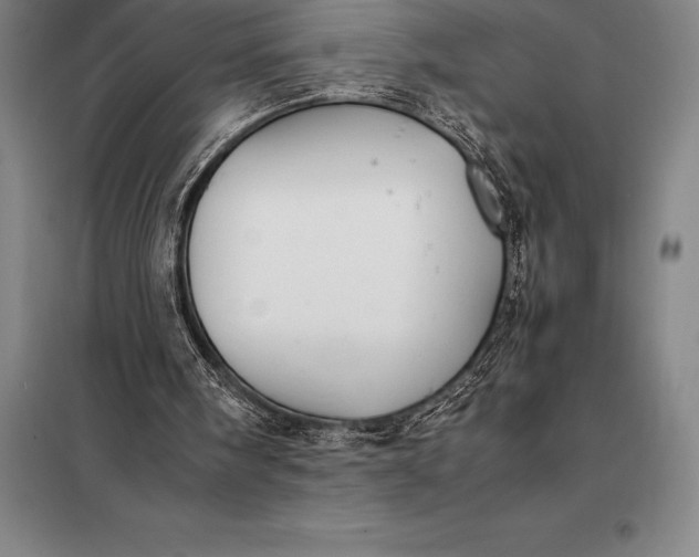 X0000098140098200805011353
