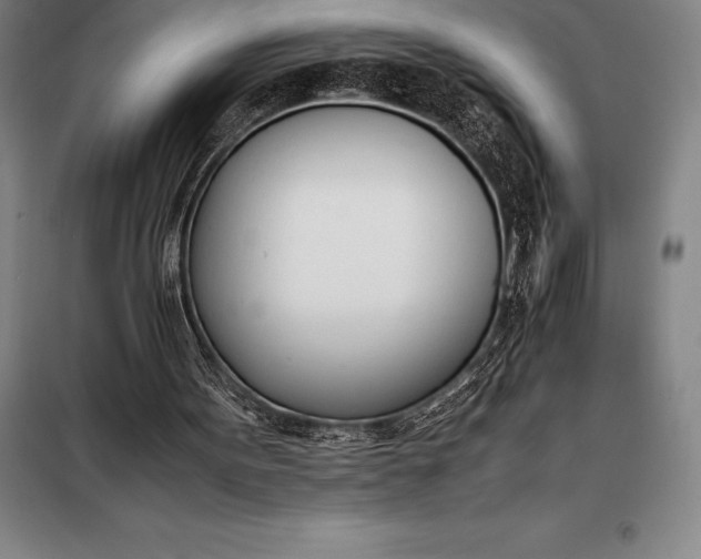 X0000098140099200805011353