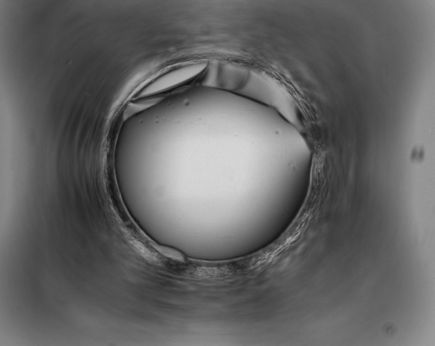 X0000098140101200805011353
