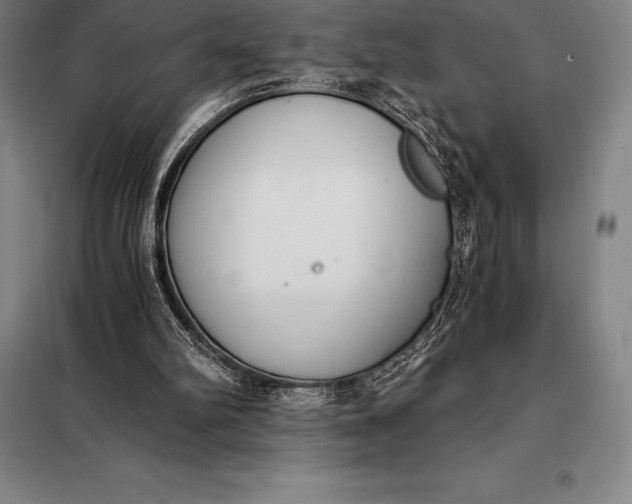 X0000098140102200805011353