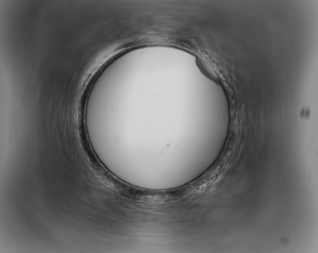 X0000098140103200805011353