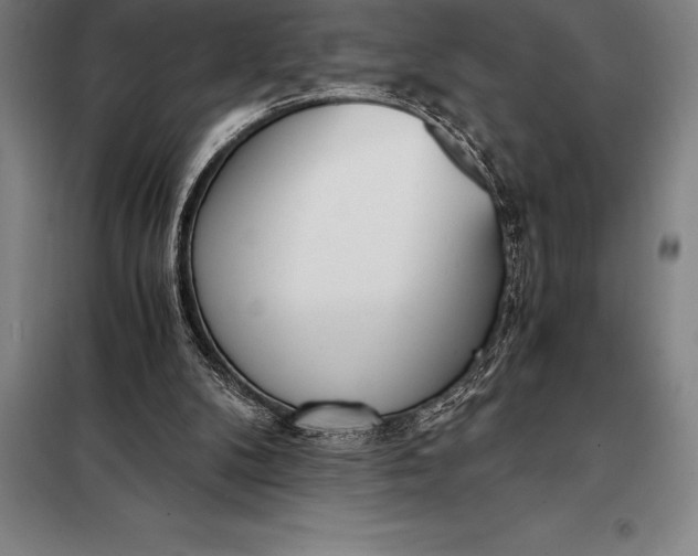 X0000098140104200805011353