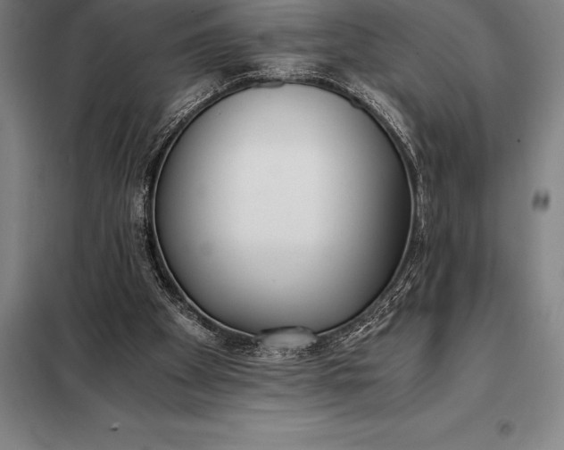 X0000098140105200805011353