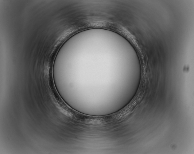X0000098140106200805011353
