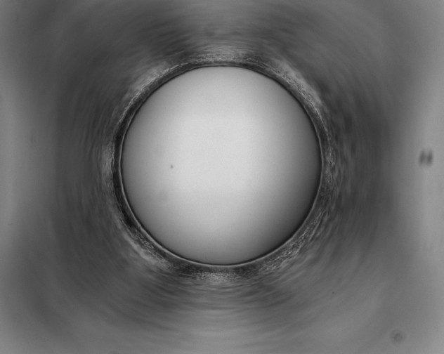 X0000098140107200805011353