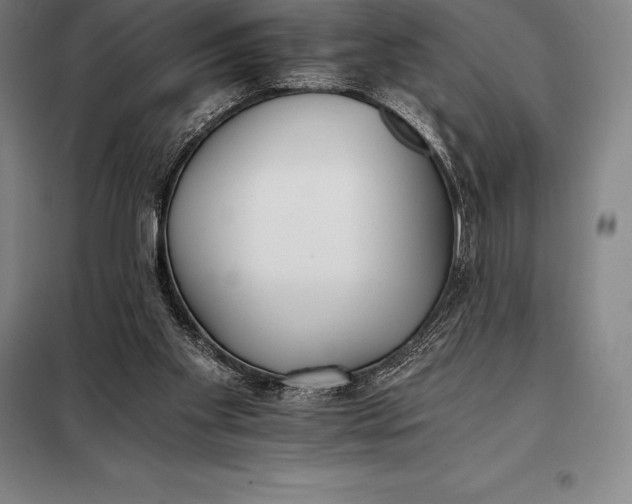 X0000098140109200805011353