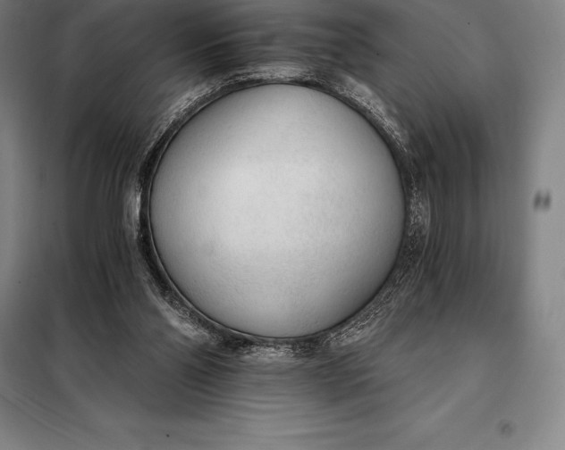 X0000098140110200805011353