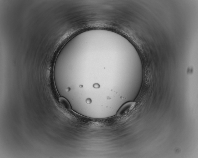 X0000098140111200805011353