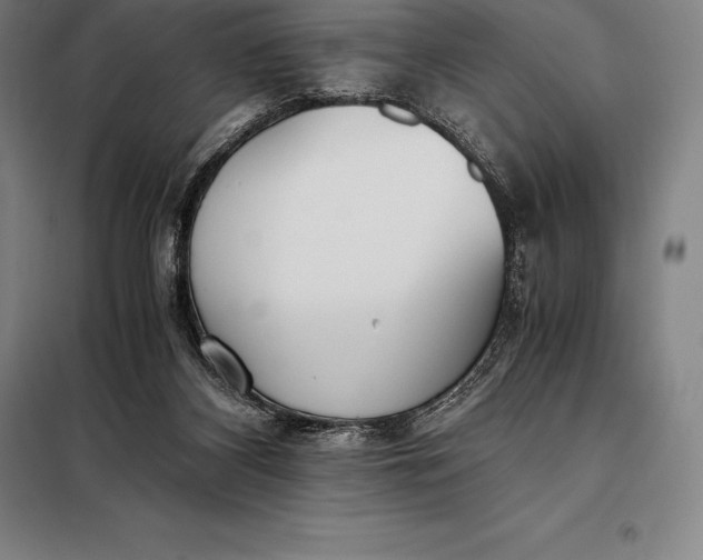 X0000098140116200805011353