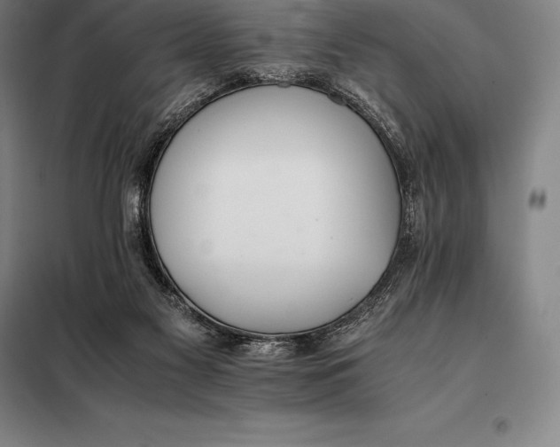 X0000098140117200805011353