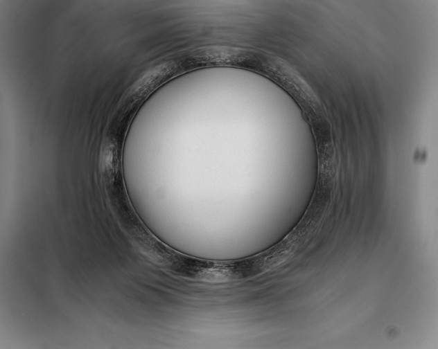 X0000098140119200805011353