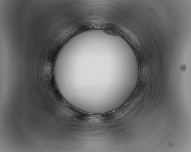 X0000098140121200805011353