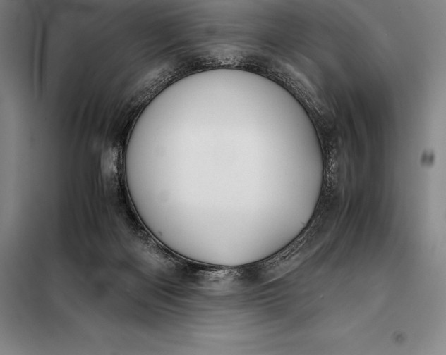 X0000098140122200805011353