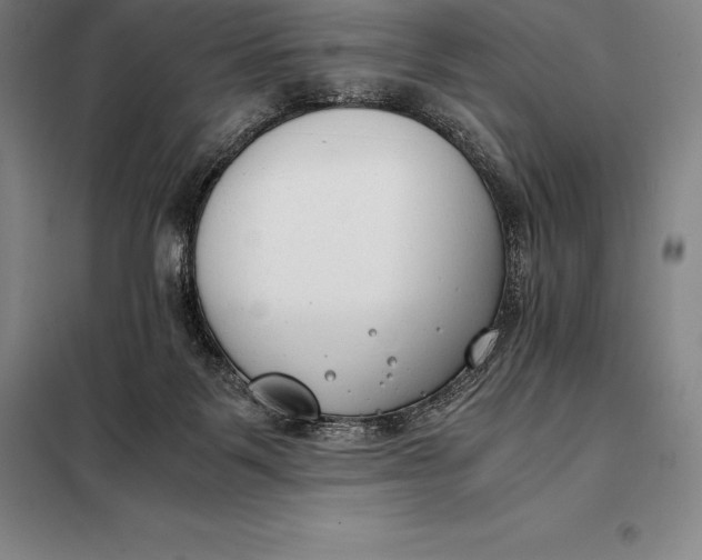 X0000098140123200805011353