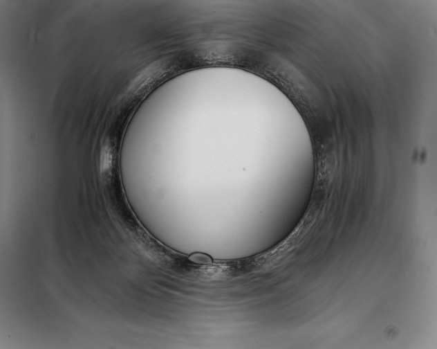 X0000098140124200805011353