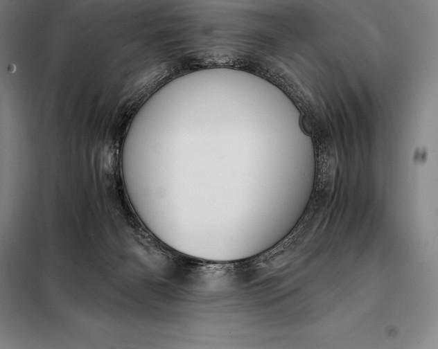 X0000098140126200805011353