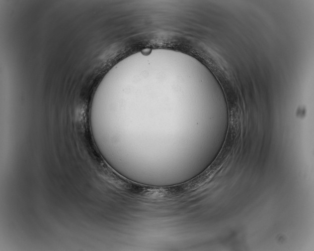 X0000098140127200805011353