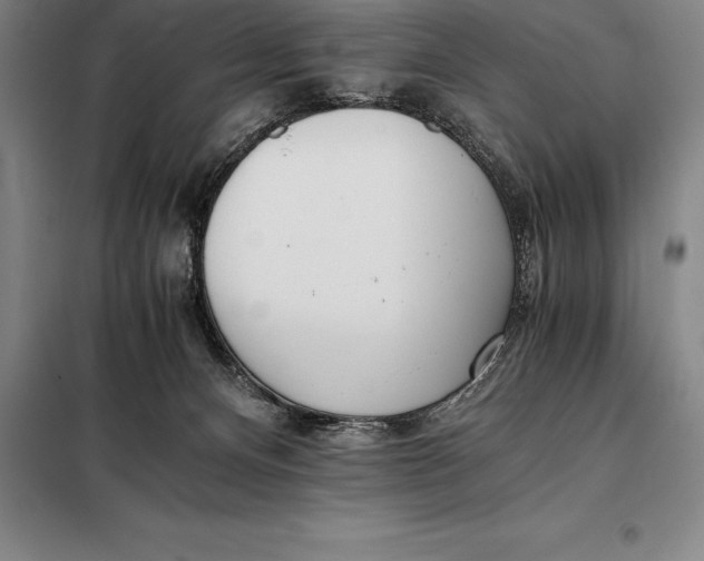 X0000098140128200805011353