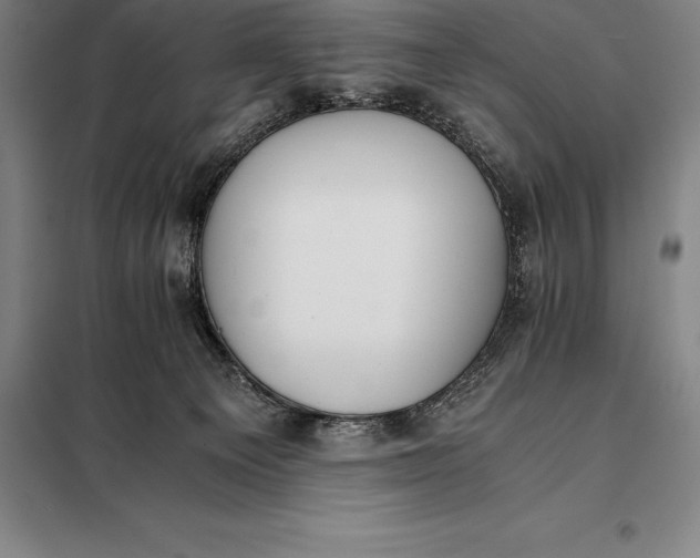 X0000098140129200805011353
