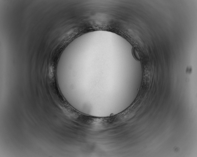 X0000098140130200805011353