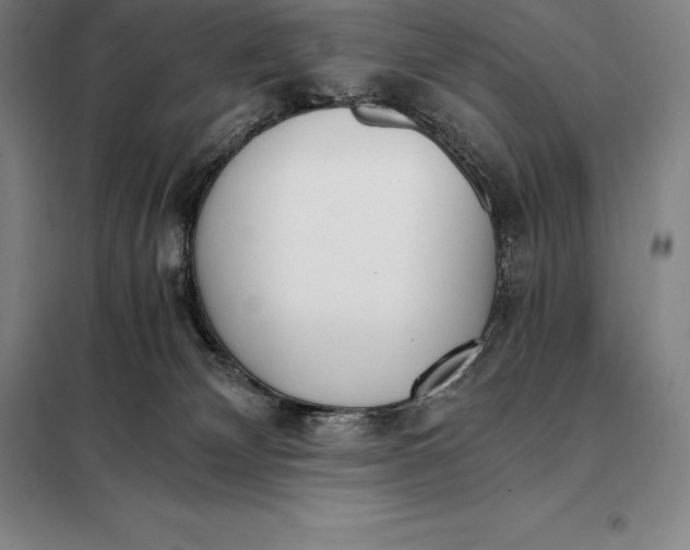 X0000098140132200805011353