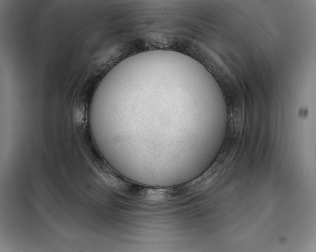 X0000098140134200805011353