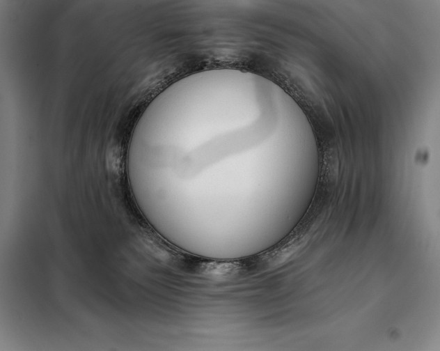 X0000098140135200805011353