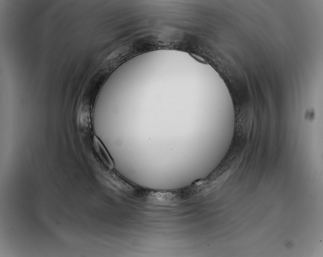 X0000098140137200805011353