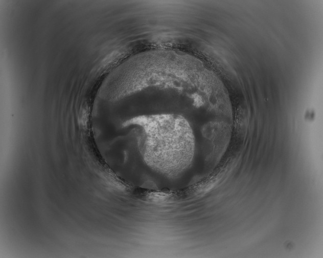 X0000098140139200805011353