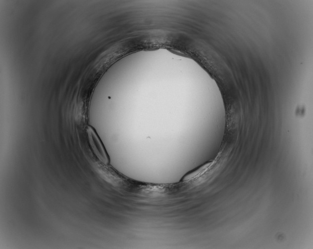 X0000098140140200805011353