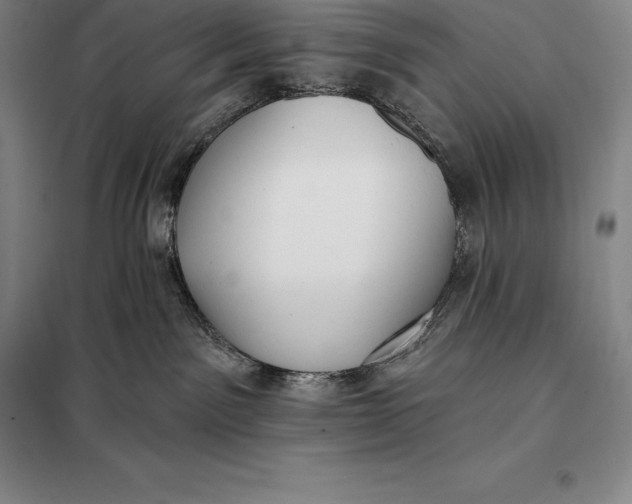 X0000098140141200805011353